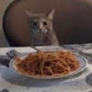 Meet your Posher, Talon